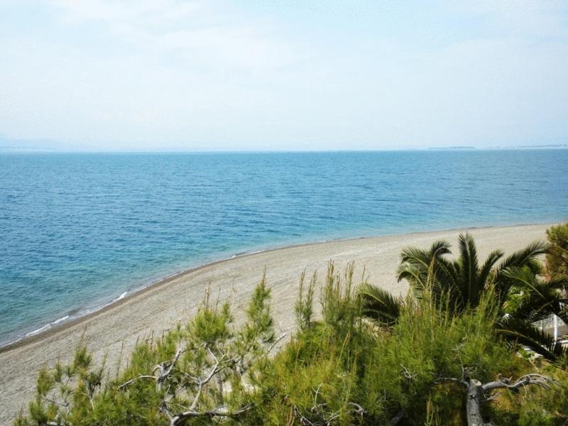 Posidonia Pension Amarinto Exterior foto