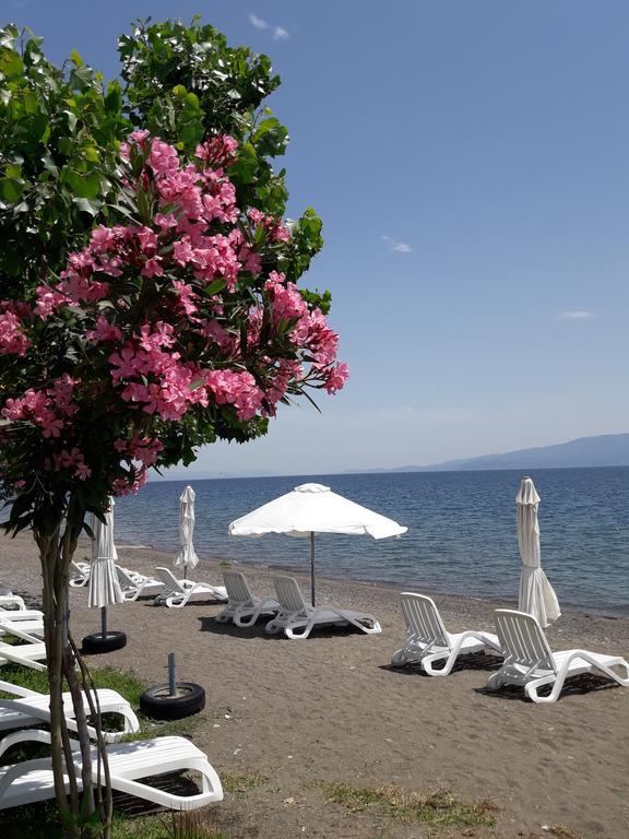 Posidonia Pension Amarinto Exterior foto